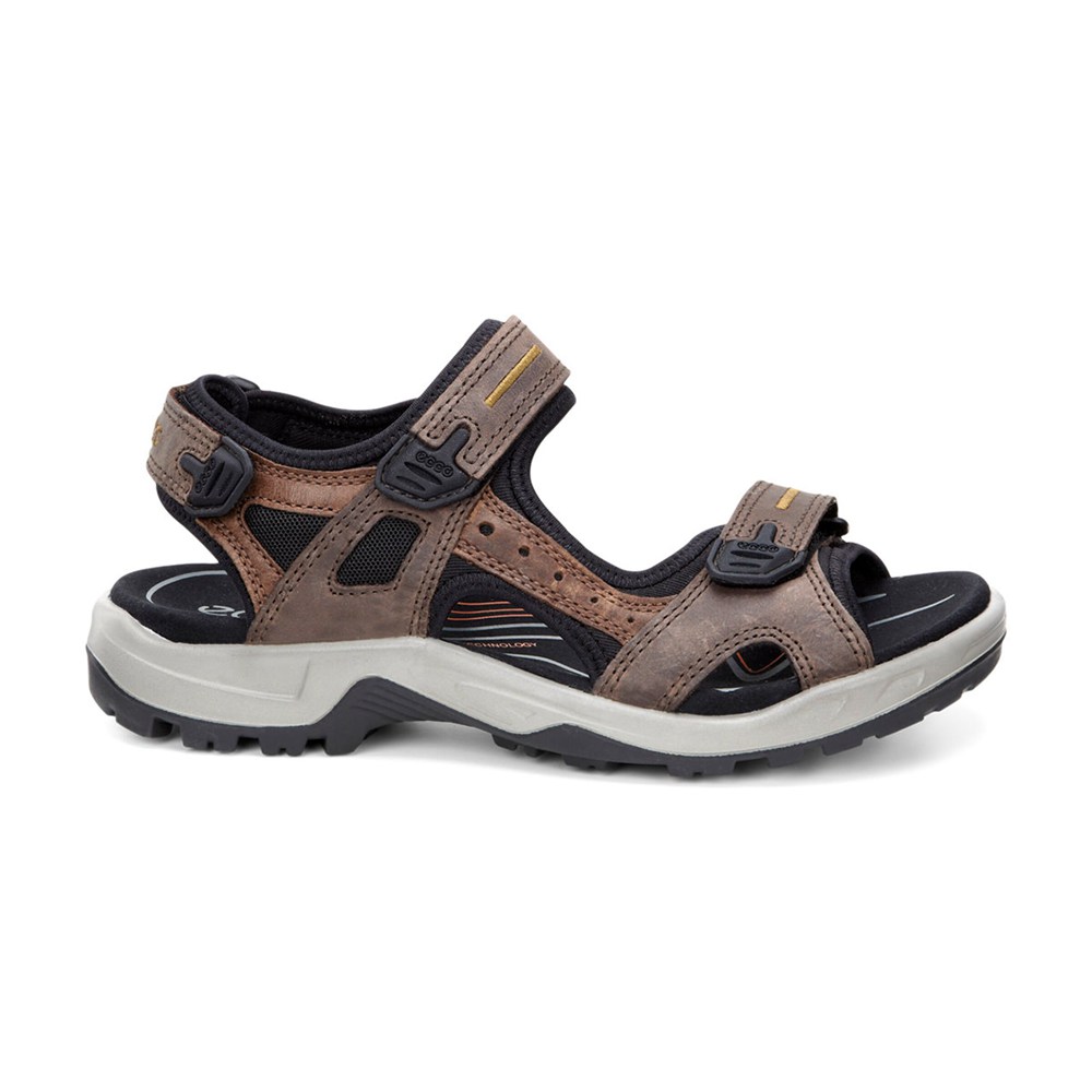 ECCO Mens Sandals Brown/Black - Yucatan - YMA-269071